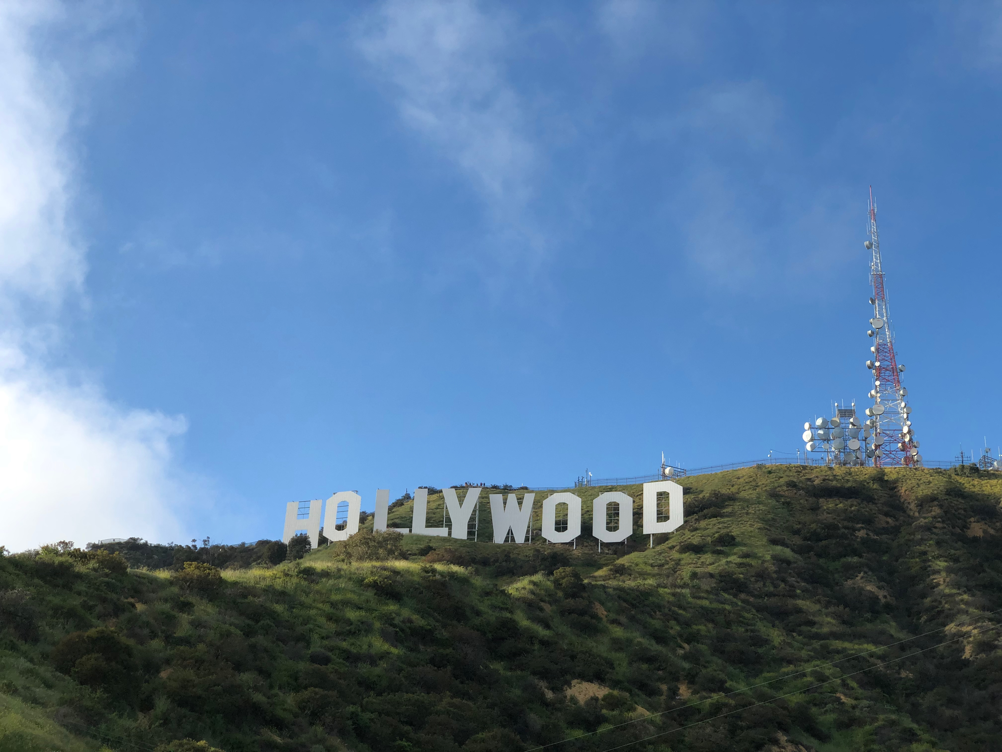 Blick auf das Hollywood Sign