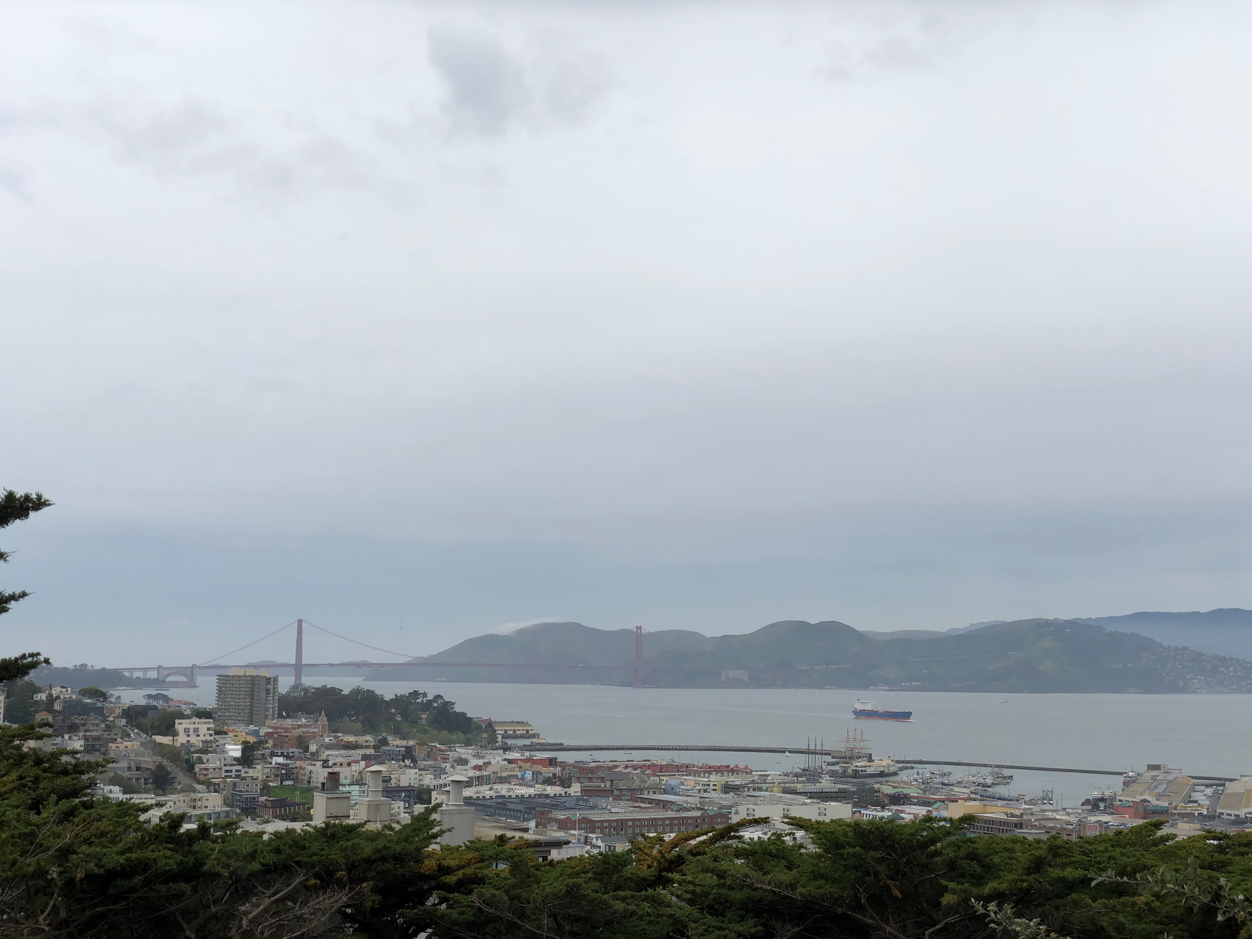 Blick vom Telegraph Hill auf die Golden Gate Bridge