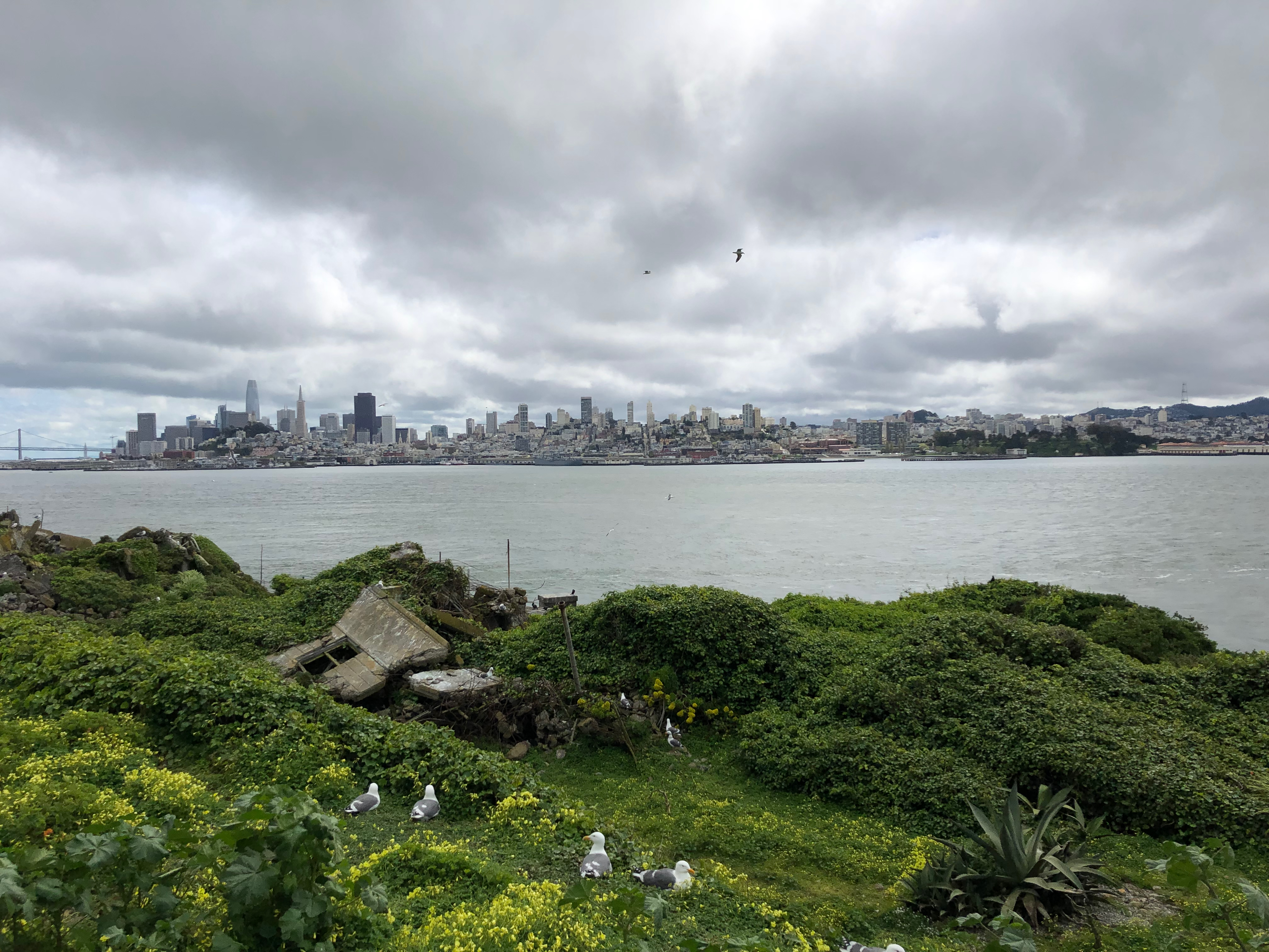 Blick von Alcatraz auf San Francisco