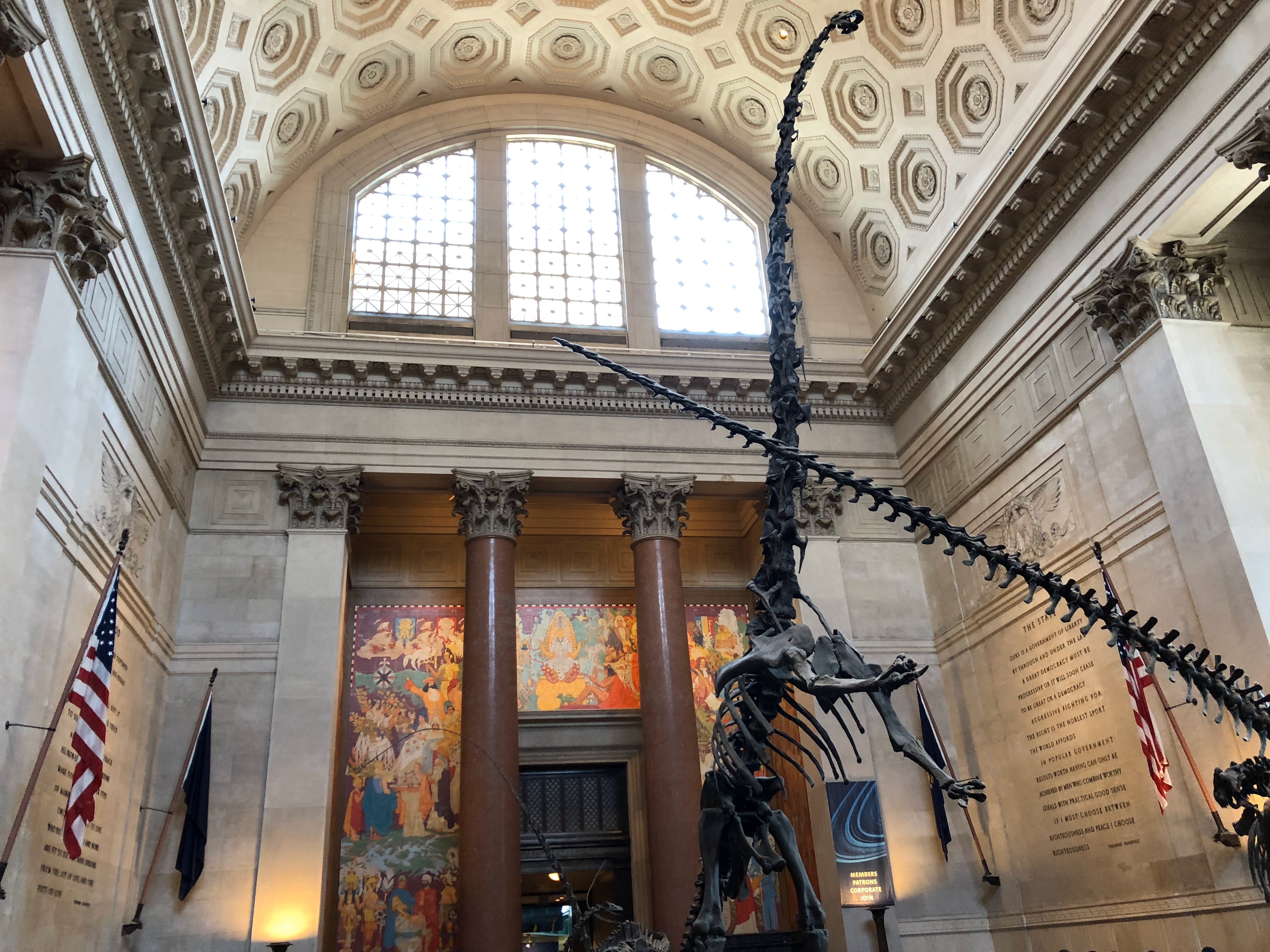 Skelett eines Dinosauriers im American Museum of Natural History