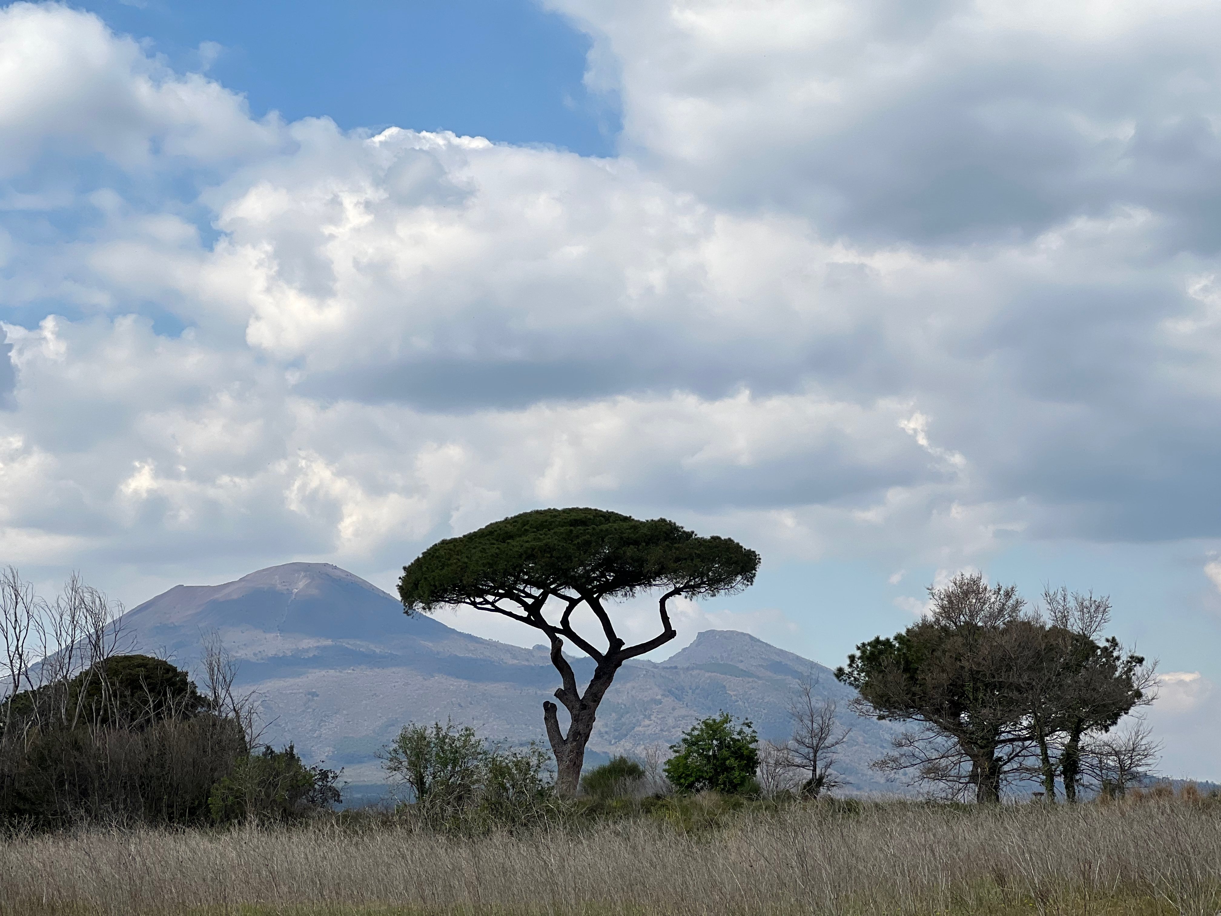 Blick aus dem archeologischen Park Pompeji auf den Vesuv
