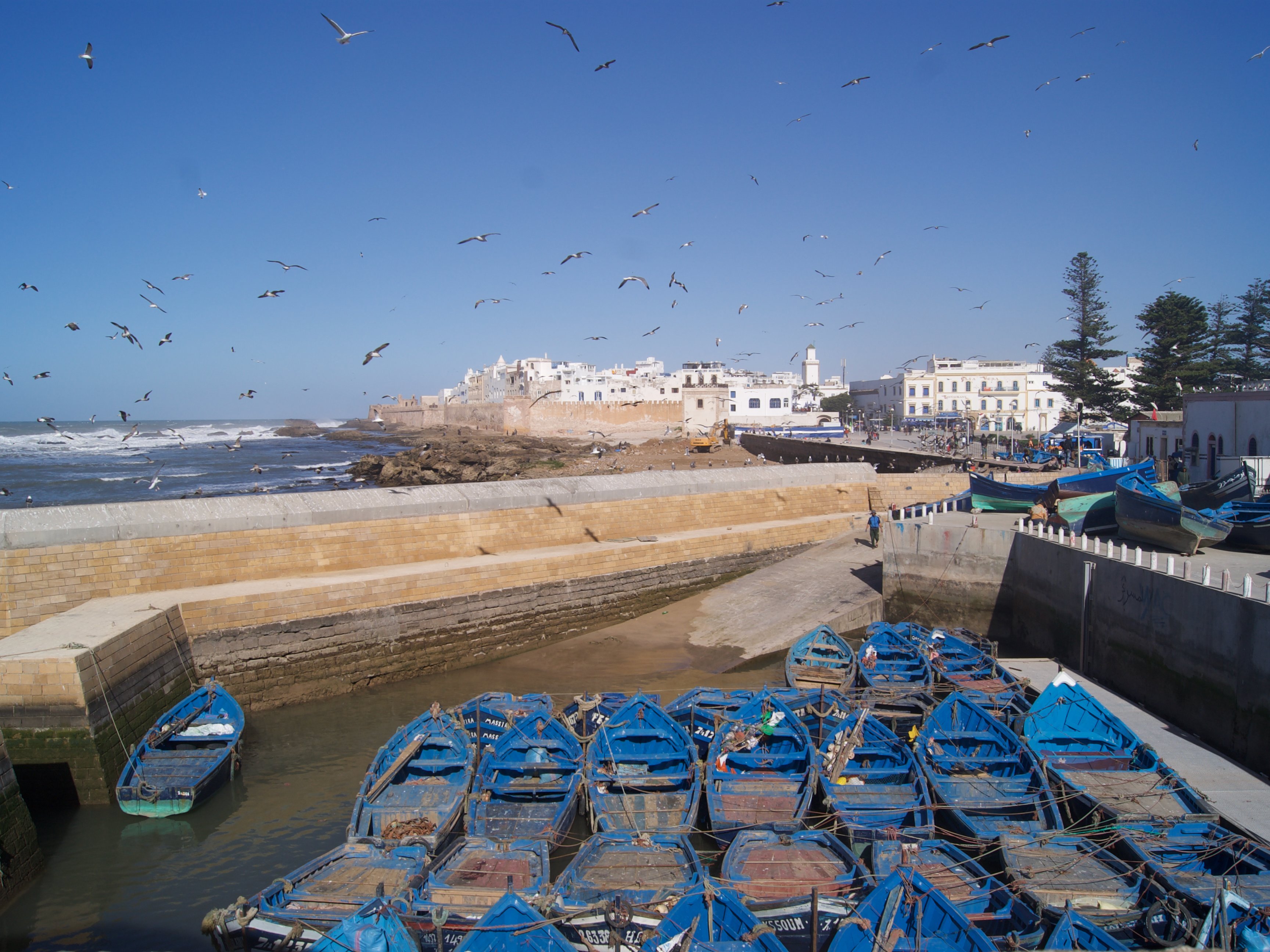 Blick über den Hafen von Essaouira